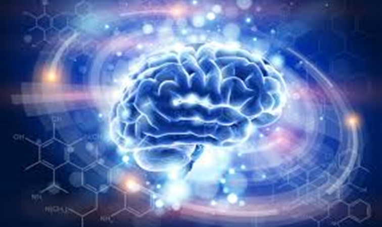 Día Mundial del Cerebro: La importancia de la prevención en el cuidado de la salud cerebral