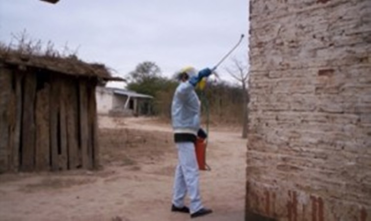 Hay 7 millones de personas en el país que tienen riesgos de contraer la enfermedad de Chagas