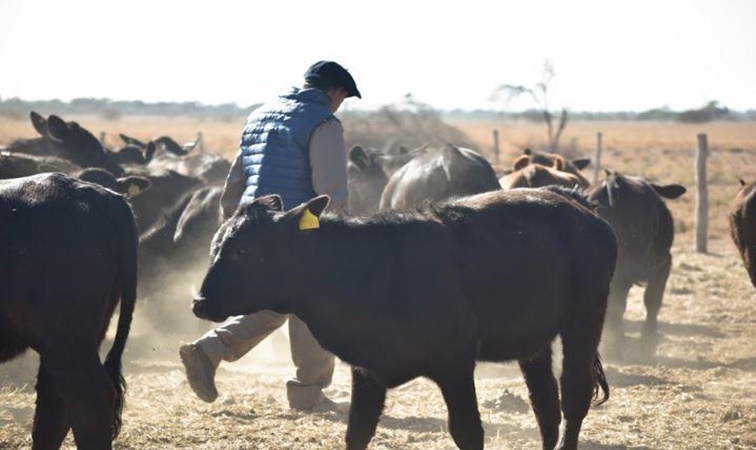 Nuevos benficios para productores anunció Banco Rioja
