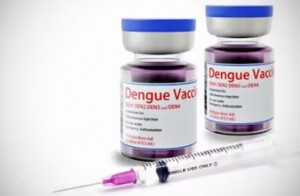 A principios de noviembre estará disponible en Argentina la vacuna contra el Dengue de Takeda