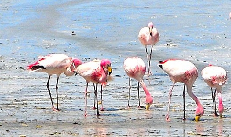Suspendieron el ingreso de personas y vehículos no autorizados a Laguna Brava