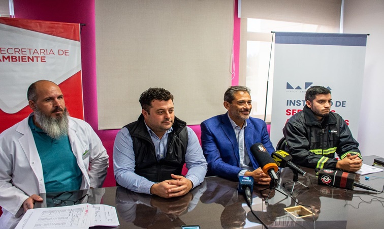 Ambiente descarta contaminación como causa de muerte de flamencos