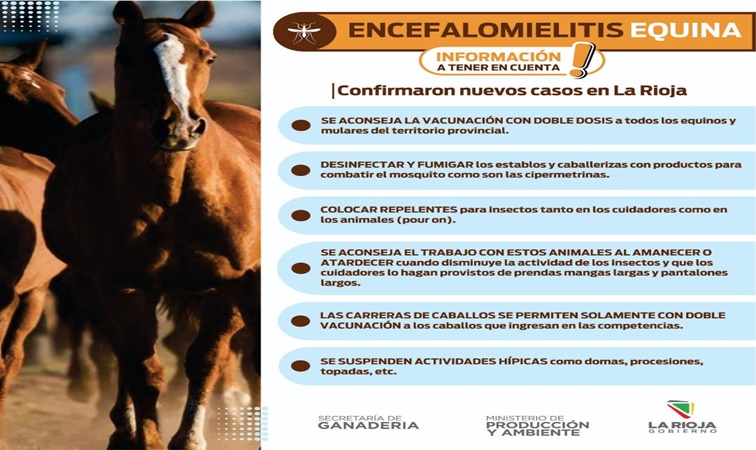 Confirmaron casos positivos de encefalitis equina en la provincia