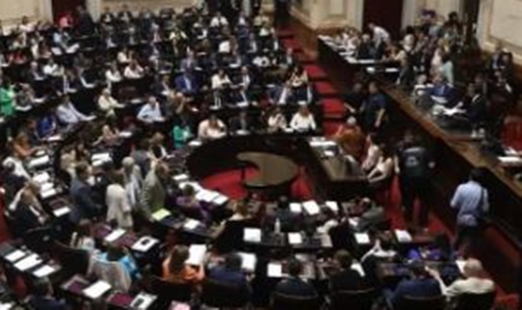 Fue aprobada en general el proyecto de la «Ley de Bases»