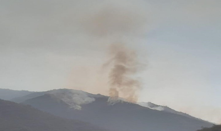 Persiste el incendio forestal