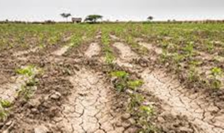 Emergencia hídrica en La Rioja por falta de lluvias