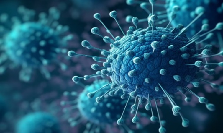 OMS alerta por casos de Covid-19