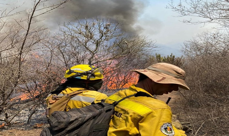 Solicitan a la población precaución al circular por alta presencia de humo