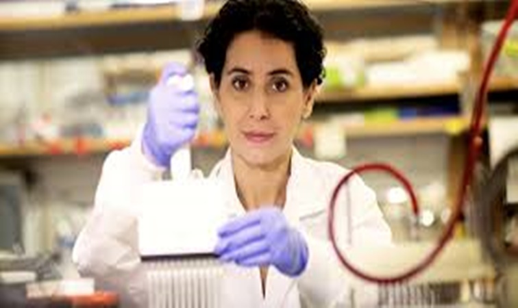 Se formó en Argentina y trabajó 10 años con el Premio Nobel de Medicina 2024