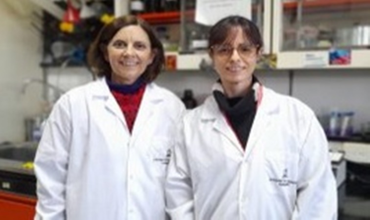 Esclerosis múltiple: identifican proteínas novedosas implicadas en la neurodegeneración