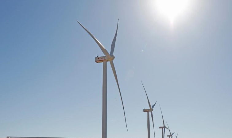 Completó su capacidad instalada el Parque Arauco