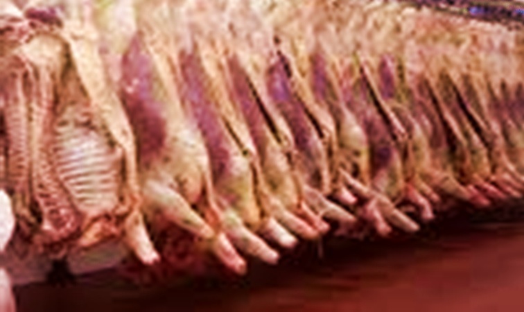 El Gobierno Nacional eliminó hasta el 31 de Octubre las retenciones a las exportaciones de granos y carnes