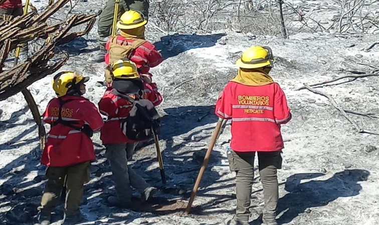Combaten incendio forestal en zona sur de la capital