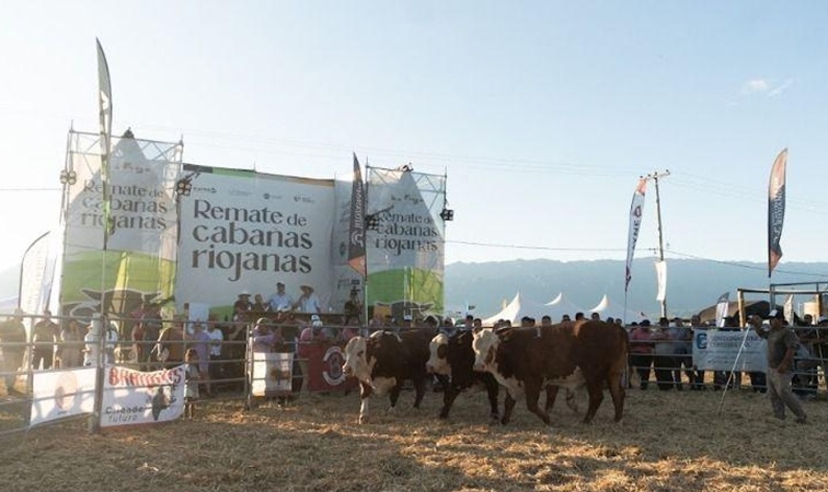 Ganadería: Preparan el 4° Remate de Cabañas Riojanas