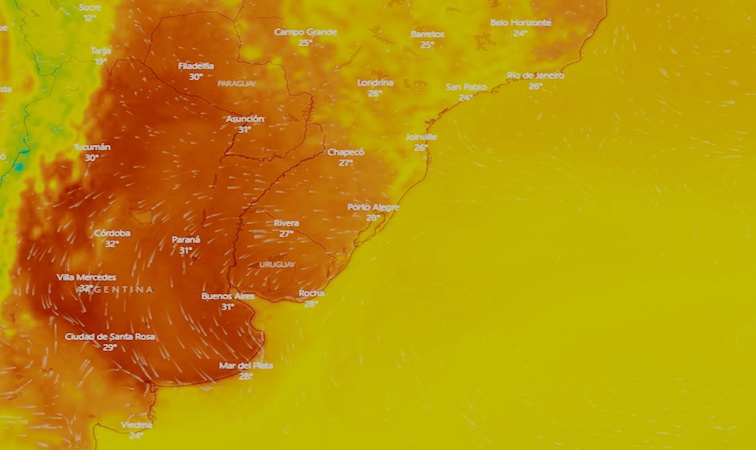 Ola de calor: guía práctica de cuidados y primeros auxilios para prevenir complicaciones en la salud