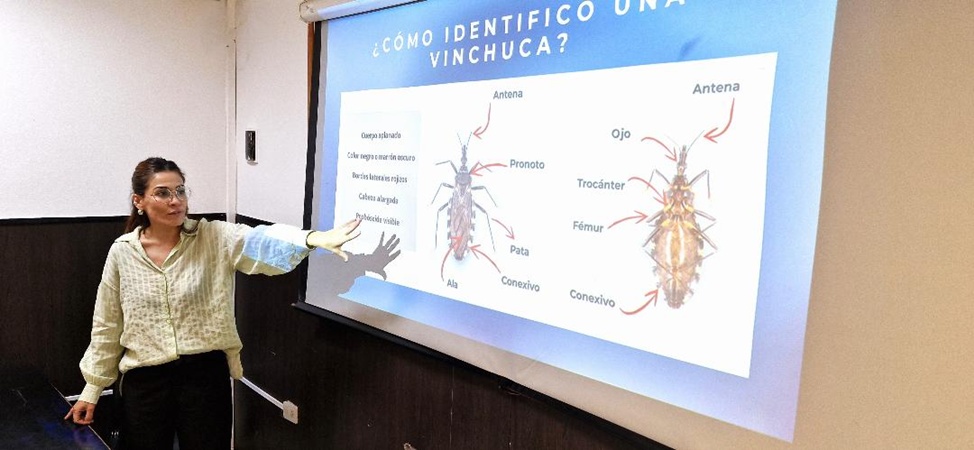 Un nuevo índice ayuda a detectar viviendas con mayor riesgo de Chagas