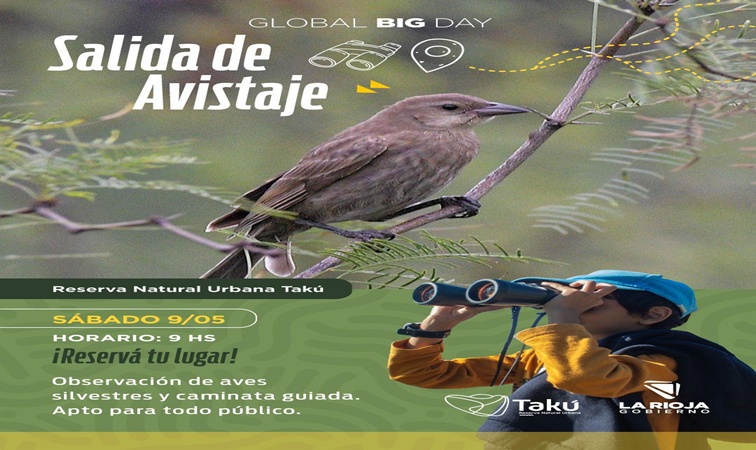 Invitan a salida para avistaje de aves