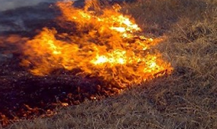 Detectaron 13 focos de incendio en la capital y fueron controlados